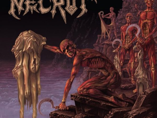 Necrot – Mortal ALBUM&nbsp;REVIEW